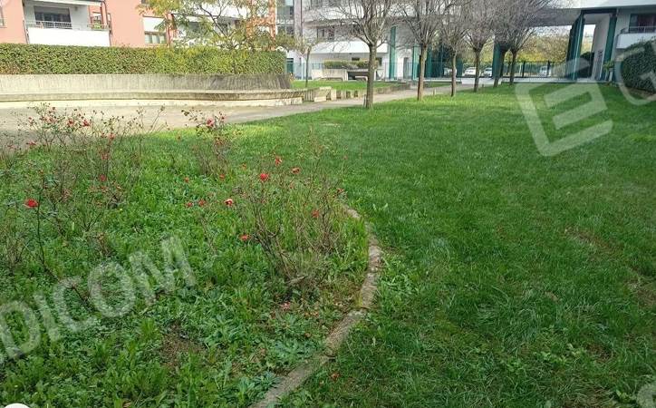 Foto annuncio