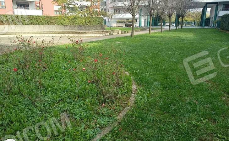 Foto annuncio